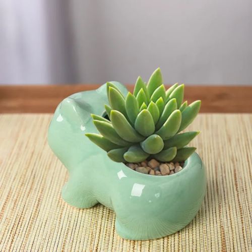 Ceramic Bulbasaur Flowerpot